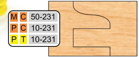 PT-10-231 profile 231